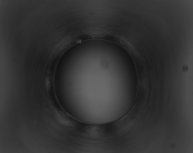 X0000093090074200710031447