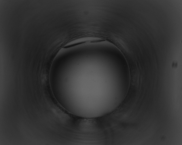 X0000093090077200710031447