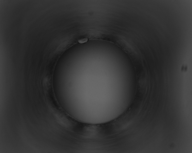 X0000093090079200710031447