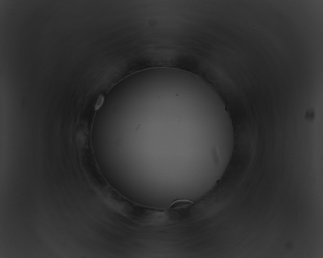 X0000093090083200710031447