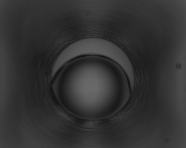X0000093090084200710031447