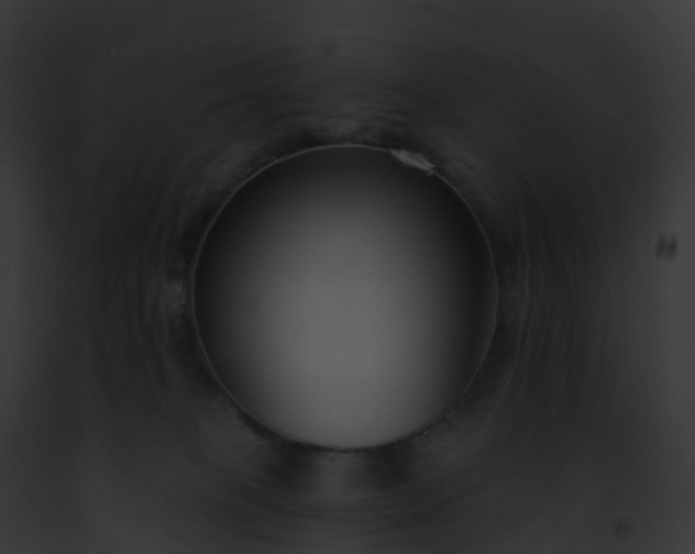 X0000093090085200710031447