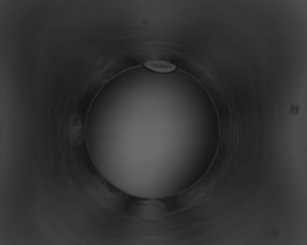 X0000093090087200710031447
