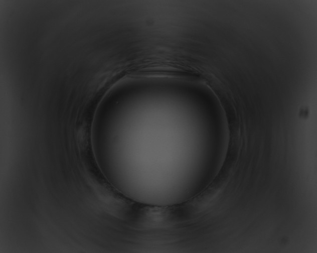 X0000093090088200710031447