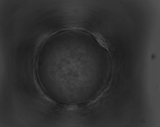 X0000093090097200710031446