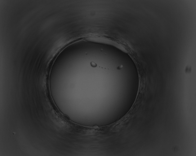 X0000093090098200710031446