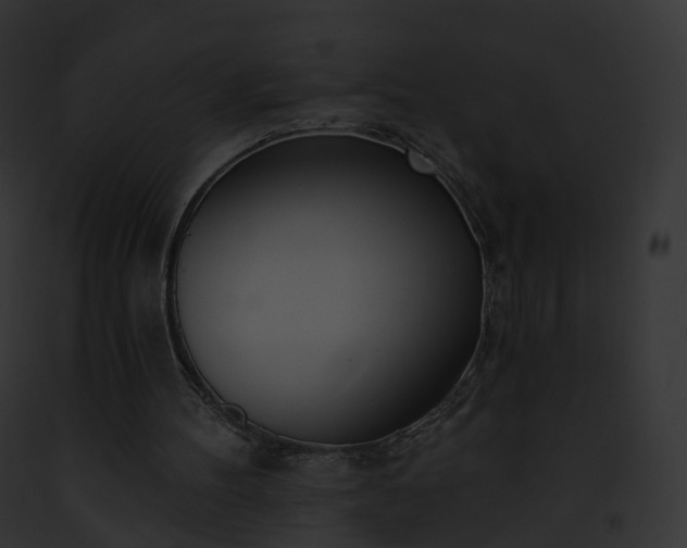 X0000093090100200710031446