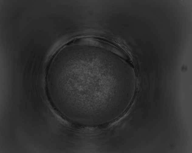 X0000093090101200710031446
