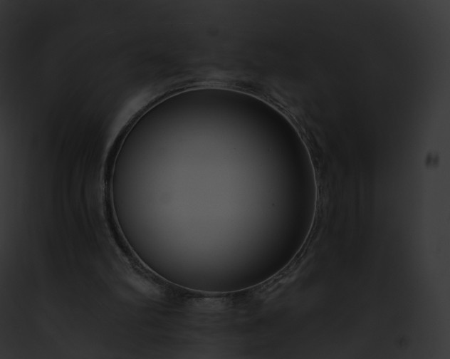 X0000093090102200710031446
