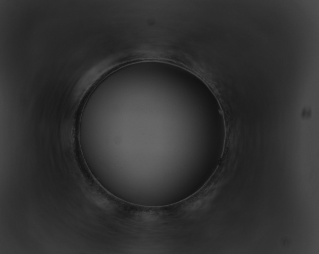 X0000093090103200710031446