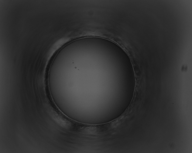 X0000093090104200710031446