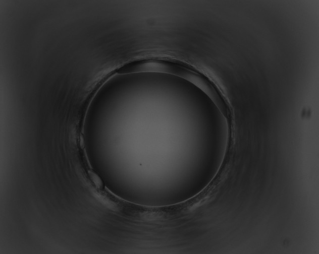 X0000093090105200710031446