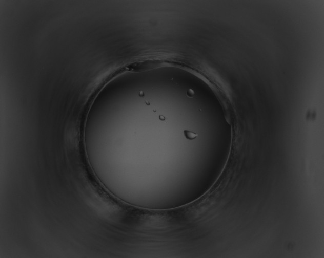 X0000093090107200710031446