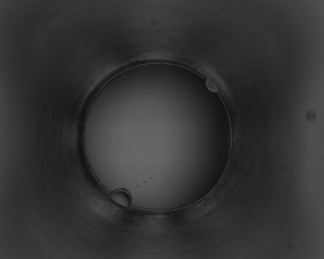 X0000093090108200710031446