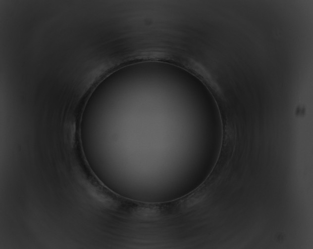 X0000093090110200710031446
