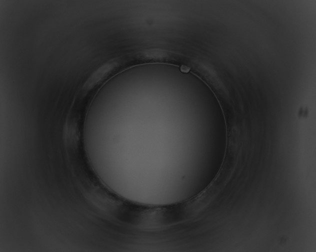 X0000093090116200710031446
