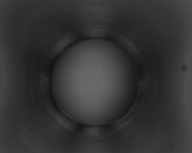 X0000093090120200710031446