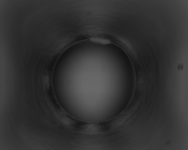 X0000093090121200710031446