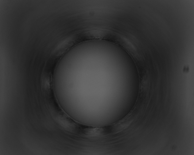 X0000093090122200710031446