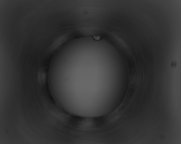 X0000093090124200710031446
