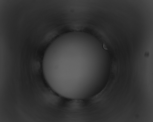 X0000093090128200710031446