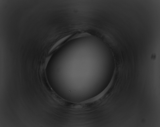X0000093090129200710031446