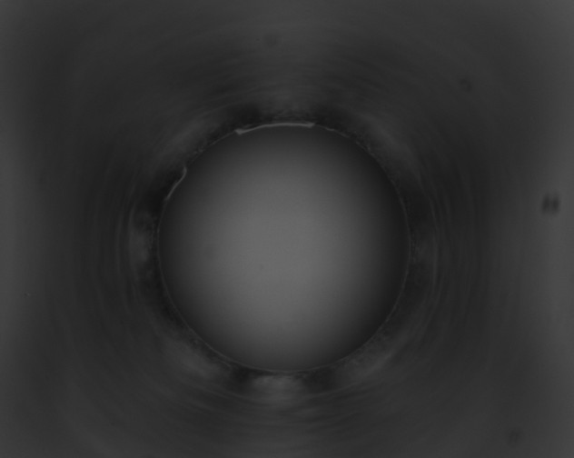 X0000093090133200710031446