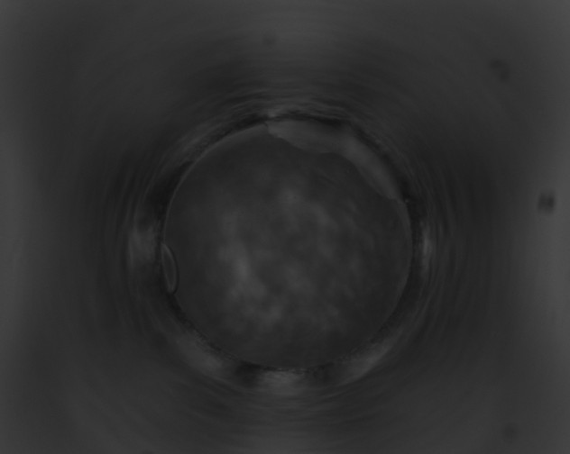 X0000093090139200710031446
