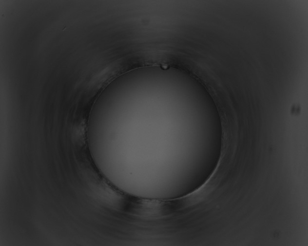 X0000093090144200710031446