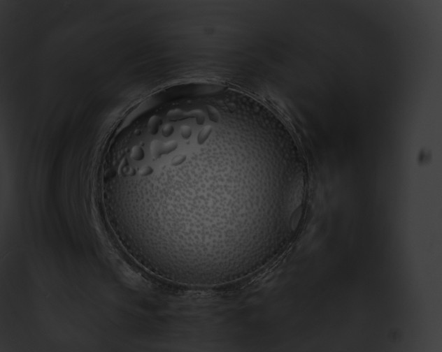 X0000093090145200710031445