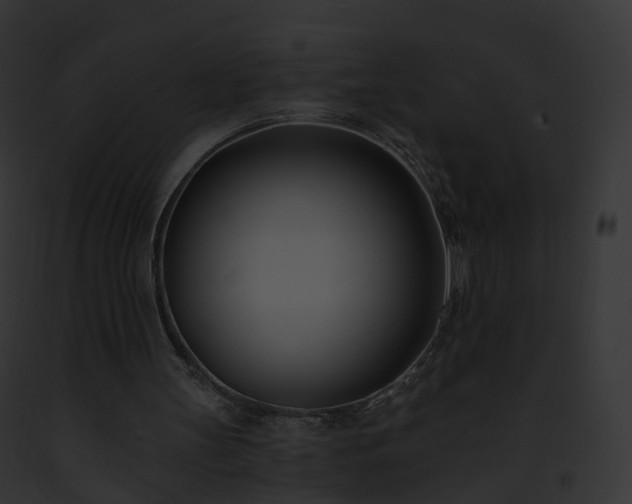 X0000093090147200710031445