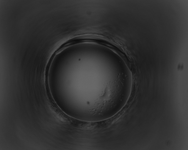 X0000093090148200710031445