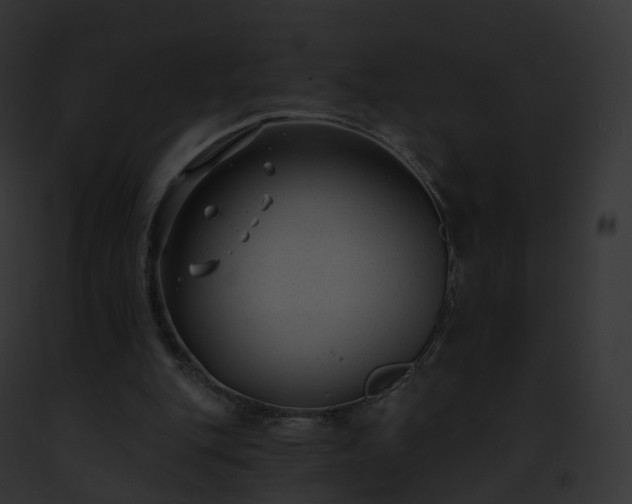 X0000093090151200710031445