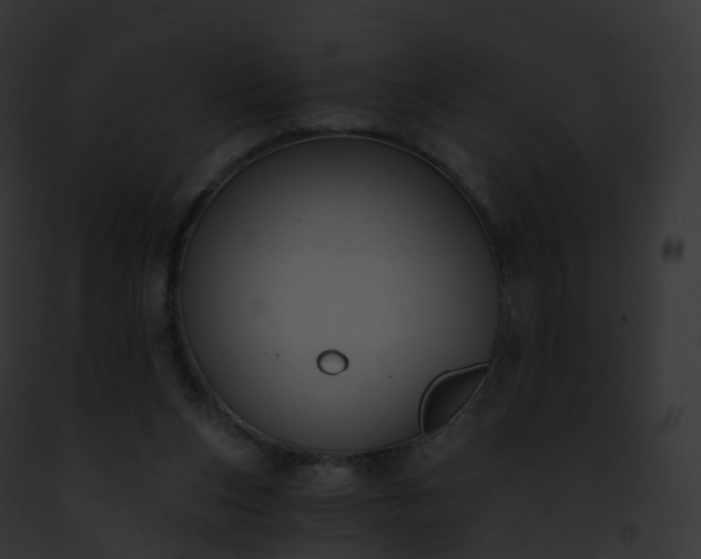 X0000093090159200710031445