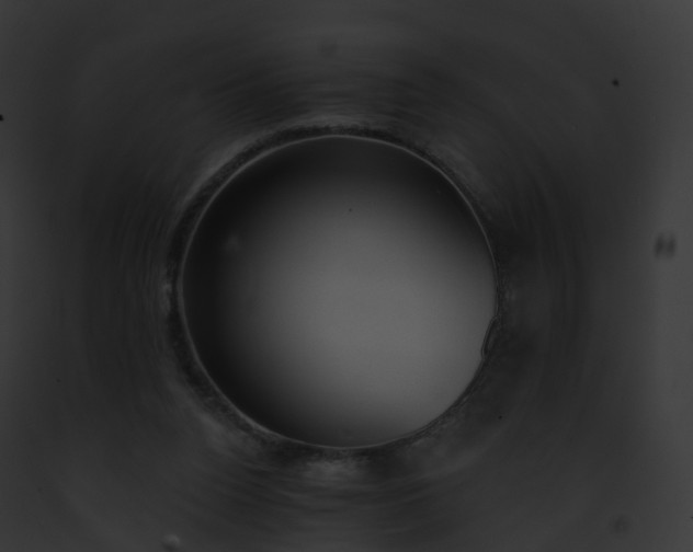 X0000093090160200710031445
