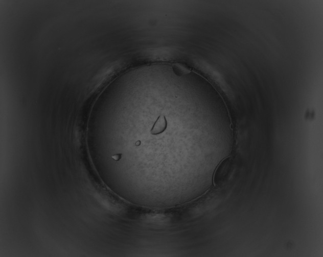 X0000093090161200710031445