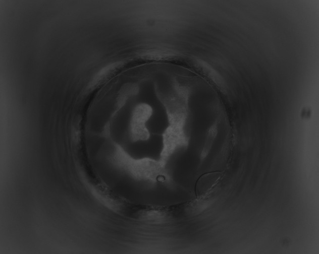 X0000093090163200710031445