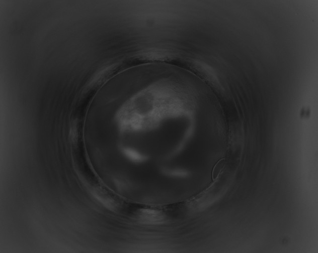 X0000093090167200710031445