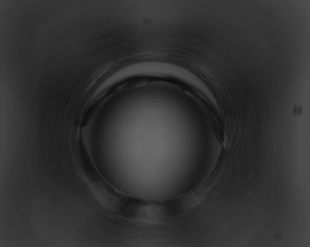 X0000093090168200710031445