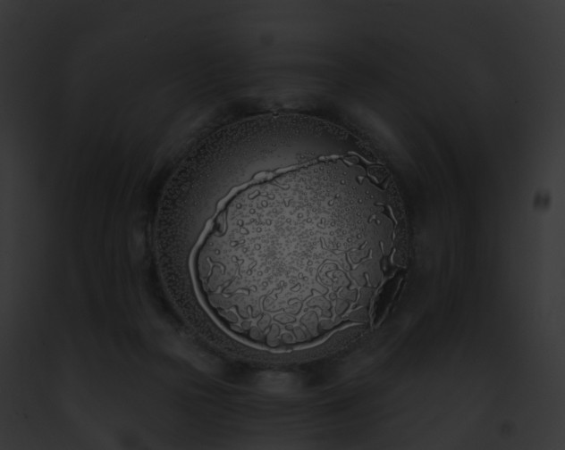 X0000093090169200710031445