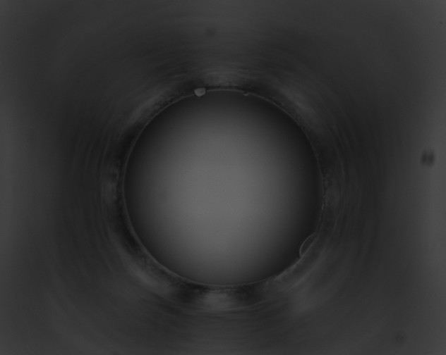 X0000093090171200710031445