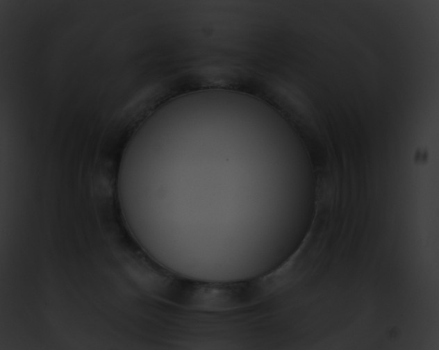 X0000093090174200710031446