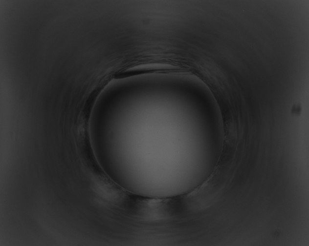 X0000093090184200710031446