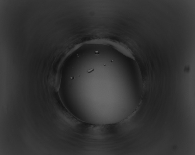 X0000093090186200710031446