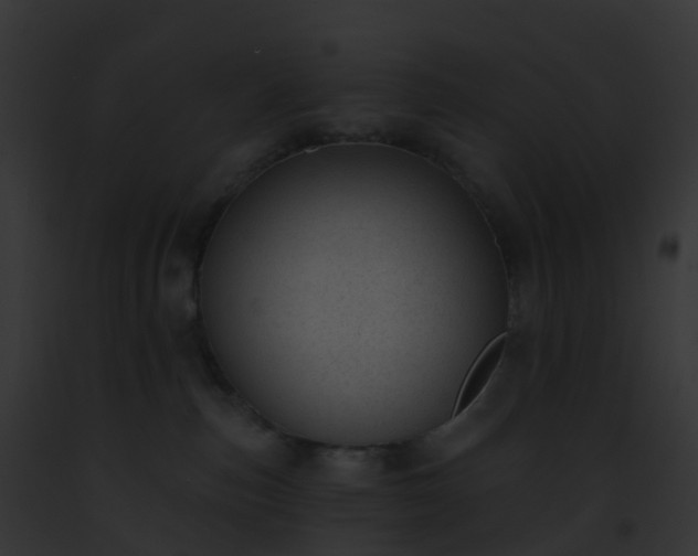 X0000093090187200710031446