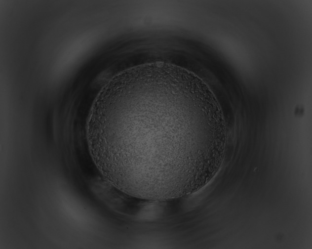 X0000093090191200710031446