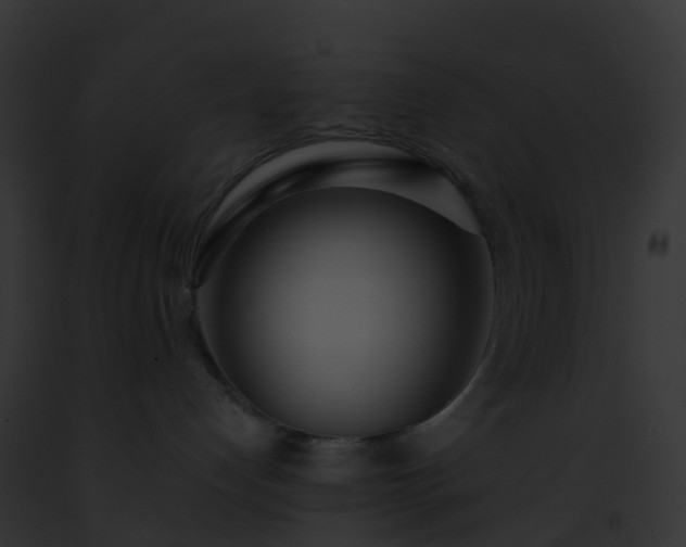 X0000093090192200710031446