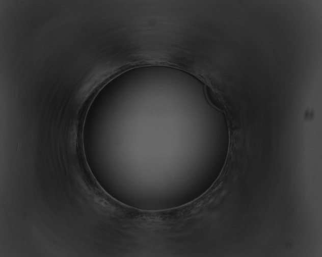 X0000093090194200710031445