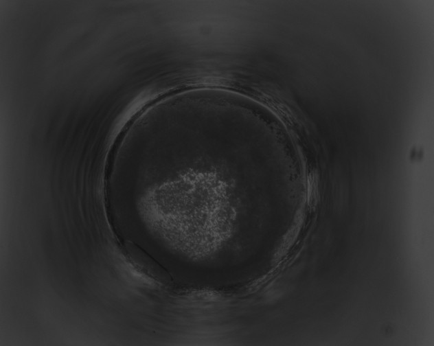X0000093090195200710031445