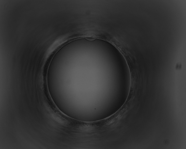X0000093090198200710031445